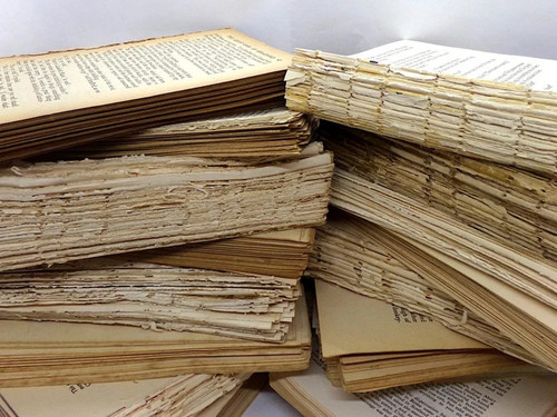 Aged book pages - ,